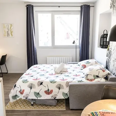 Studio Guimet Avec Terrasse Centre Lyon * Oullins